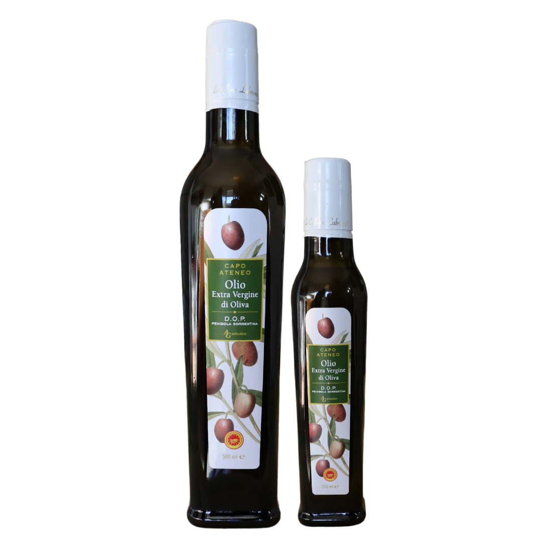 Olio EVO DOP Le Colline Lubrensi